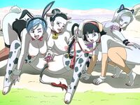 Dragon Ball furry sex