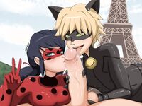 Miraculous tales of ladybug and cat noir