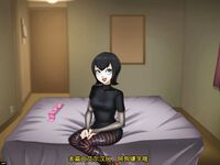 梅维斯-特兰西瓦尼亚饭店