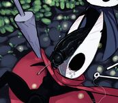Hollow Knight - The Hero
