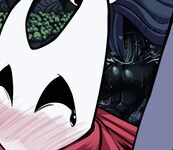Hollow Knight - The Hero
