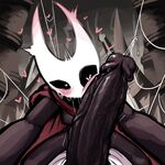 Hollow Knight - The Hero