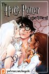 The Harry Potter Experiment