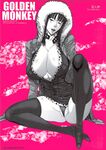 GOLDEN MONKEY