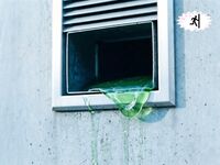 [CMFHF]Just a normal day[AI Generated]