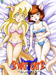 Swat Kats Busted.