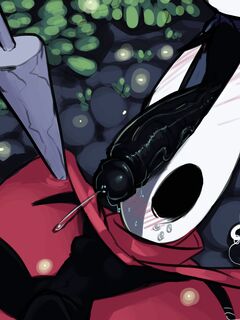 Hollow Knight - The Hero