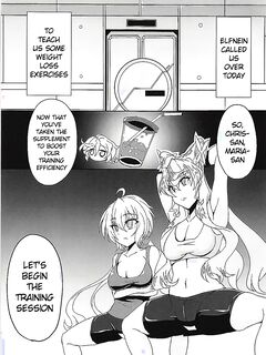 (Zesshou Stage 6) [Daisan Shinsekai (Fumikage)] DSKB-shiki Saimin Yoga (Senki Zesshou Symphogear AXZ) [English]