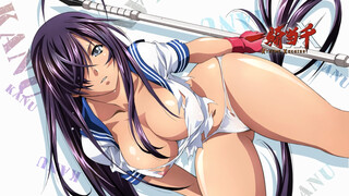 Ikkitousen Seasons 1-4 [fanservice Compilation] (1920x1080)