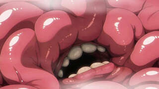 A Short Detour: Frieren takes raw tentacle DP & x-ray creampie inside the den