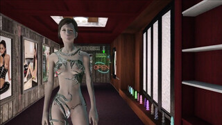 Fallout 4 Para-Anal Activity