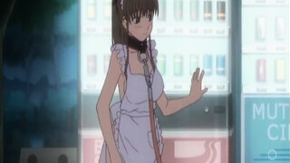 Sexy Big Tit Slave Walks On A Leash Outdoors