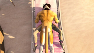 On The Beach ( Furry / Yiff )