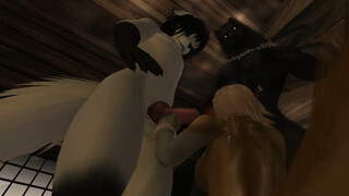 The Midnight Meeting ( Furry / Yiff )