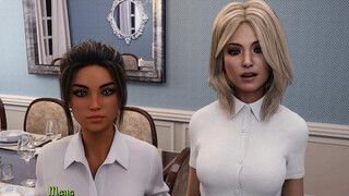 Being A DIK 0.9.1 Vixens Part 290 Business Before Party By LoveSkySan69