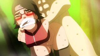 Sarada The Domination Sensation