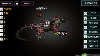 ANOMALY EVOLUTION - STAGE 16